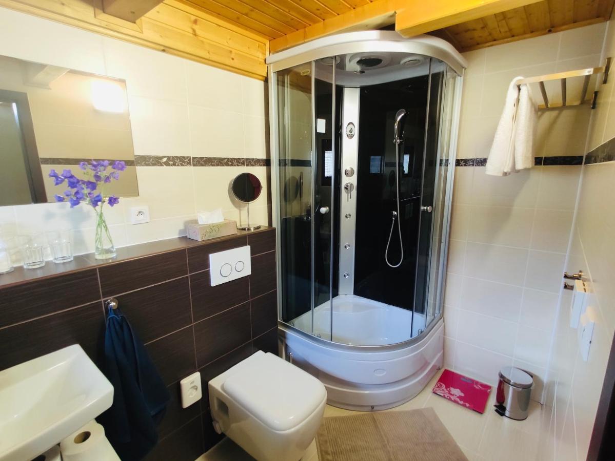 Grand Spa Holiday Home Sklené Teplice Buitenkant foto